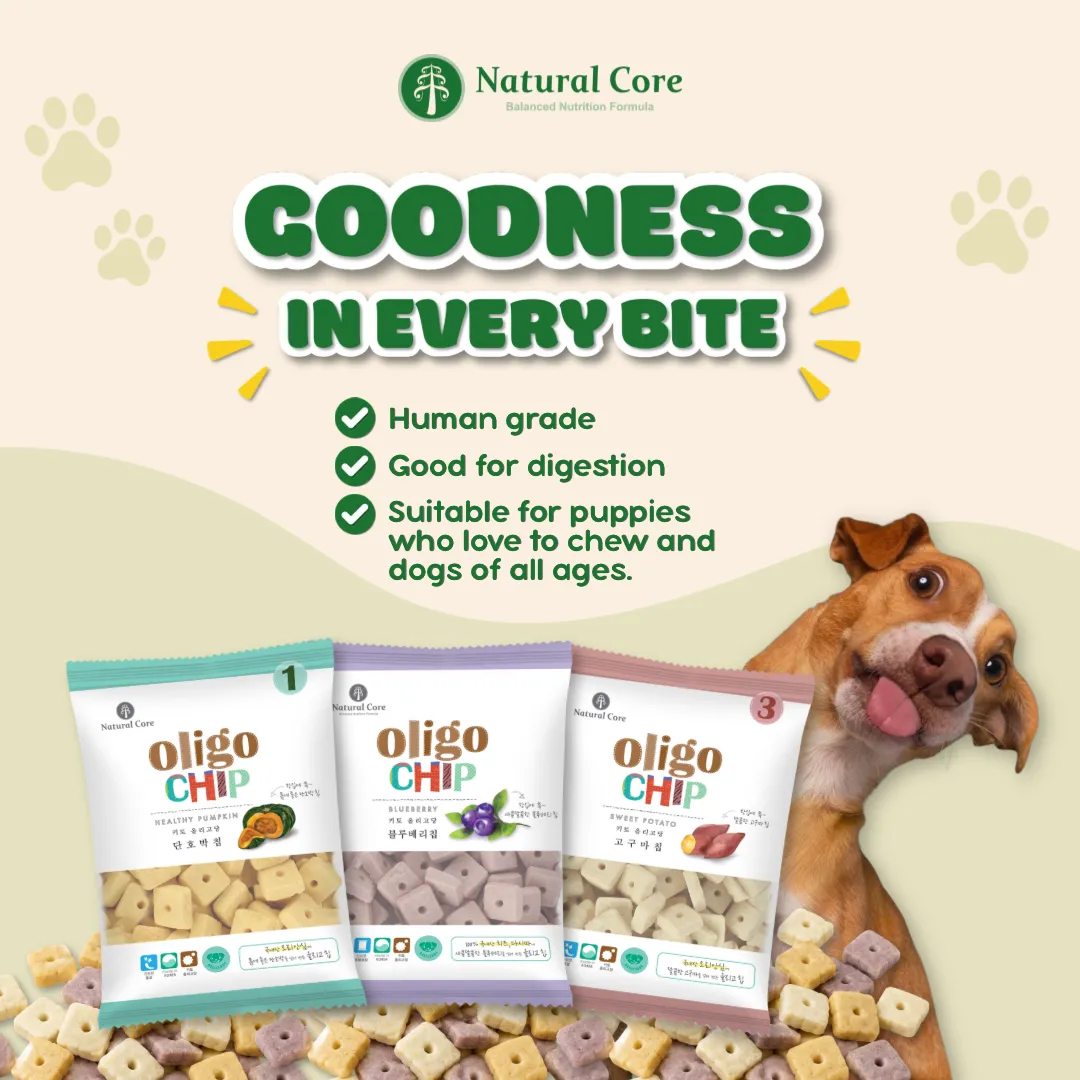 Natural Core Pumpkin Oligochip Healthy Cookie Crispy Bite Size Probiotic Treat for Dogs