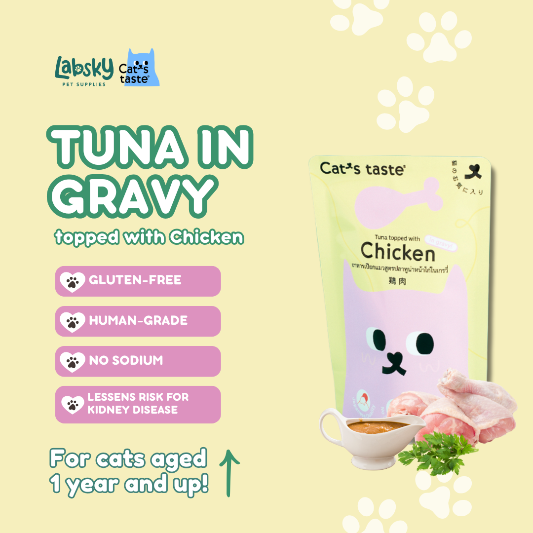 Cat's Taste Premium Wet Cat Food Tuna Chicken Salmon in Gravy 75g pouch