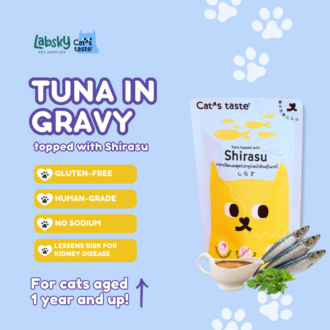 Cat's Taste Premium Wet Cat Food Tuna Chicken Salmon in Gravy 75g pouch