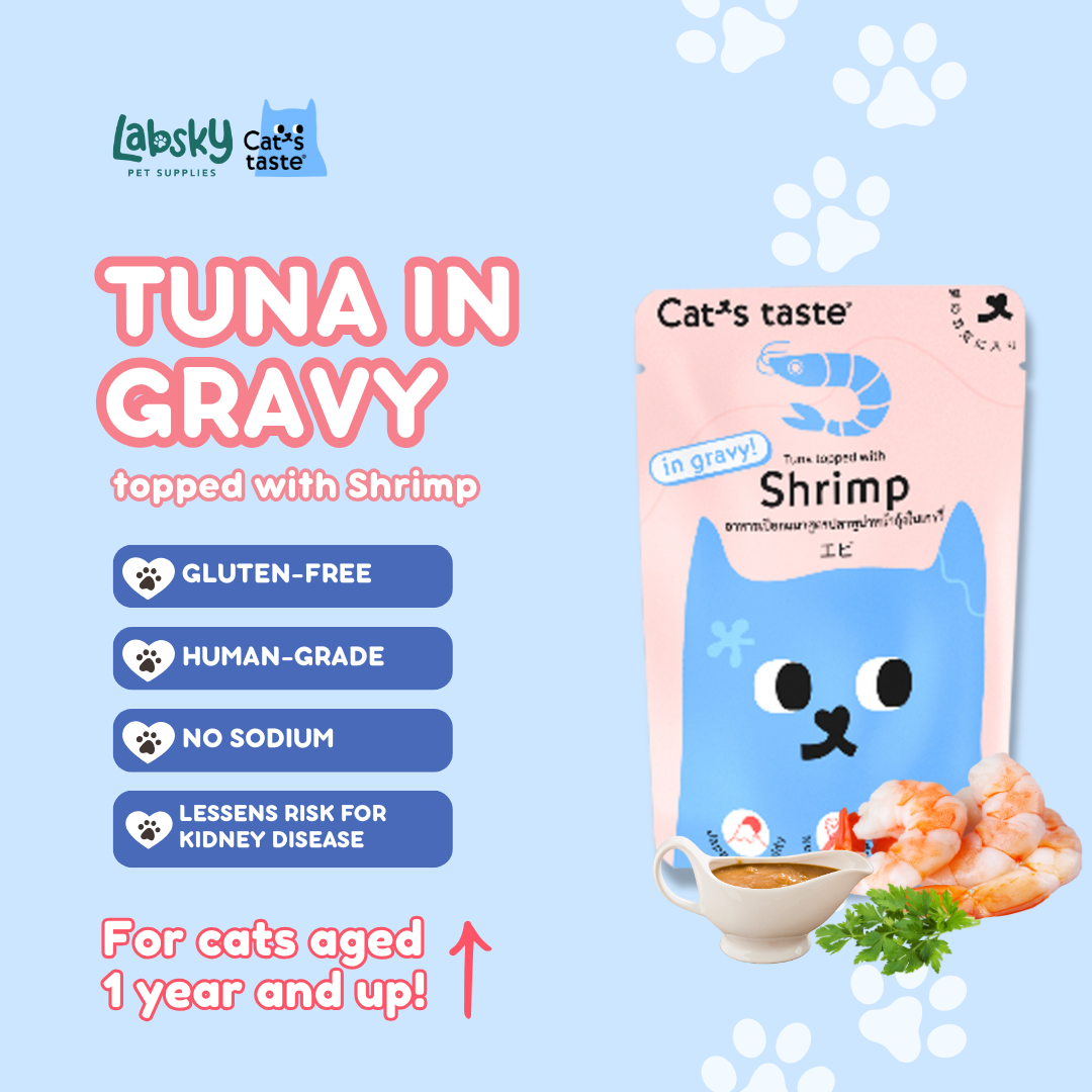 Cat's Taste Premium Wet Cat Food Tuna Chicken Salmon in Gravy 75g pouch