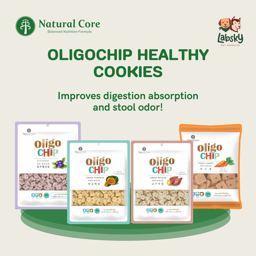 Natural Core Sweet Potato Oligochip Healthy Cookie Crispy Bite Size Probiotic Treat for Dogs