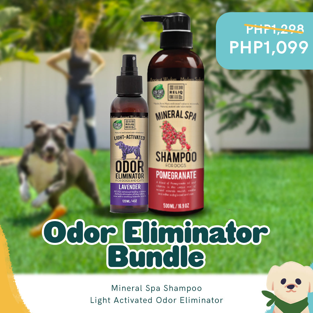 Dog shampoo odor outlet remover