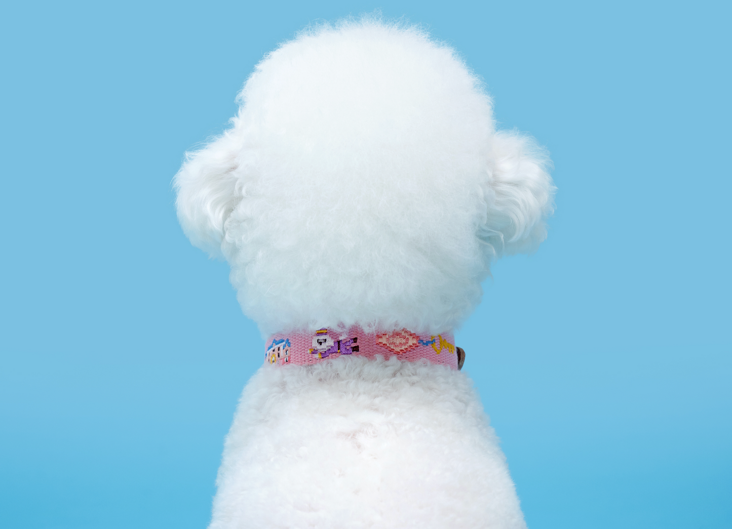Adventure Series Collar