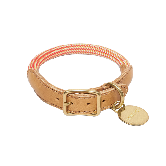 We Are Tight Collar (Rope)