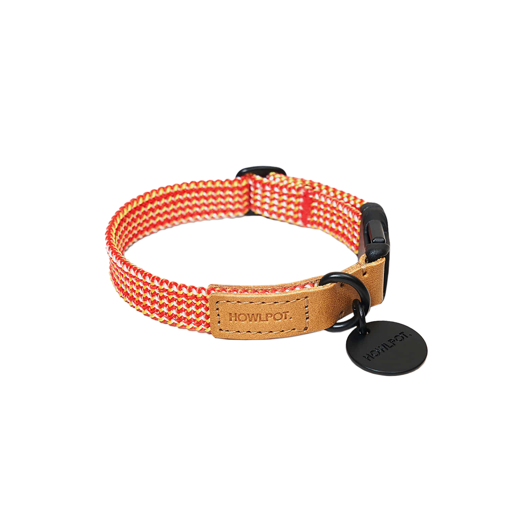 We Are Tight Collar (Ribbon)