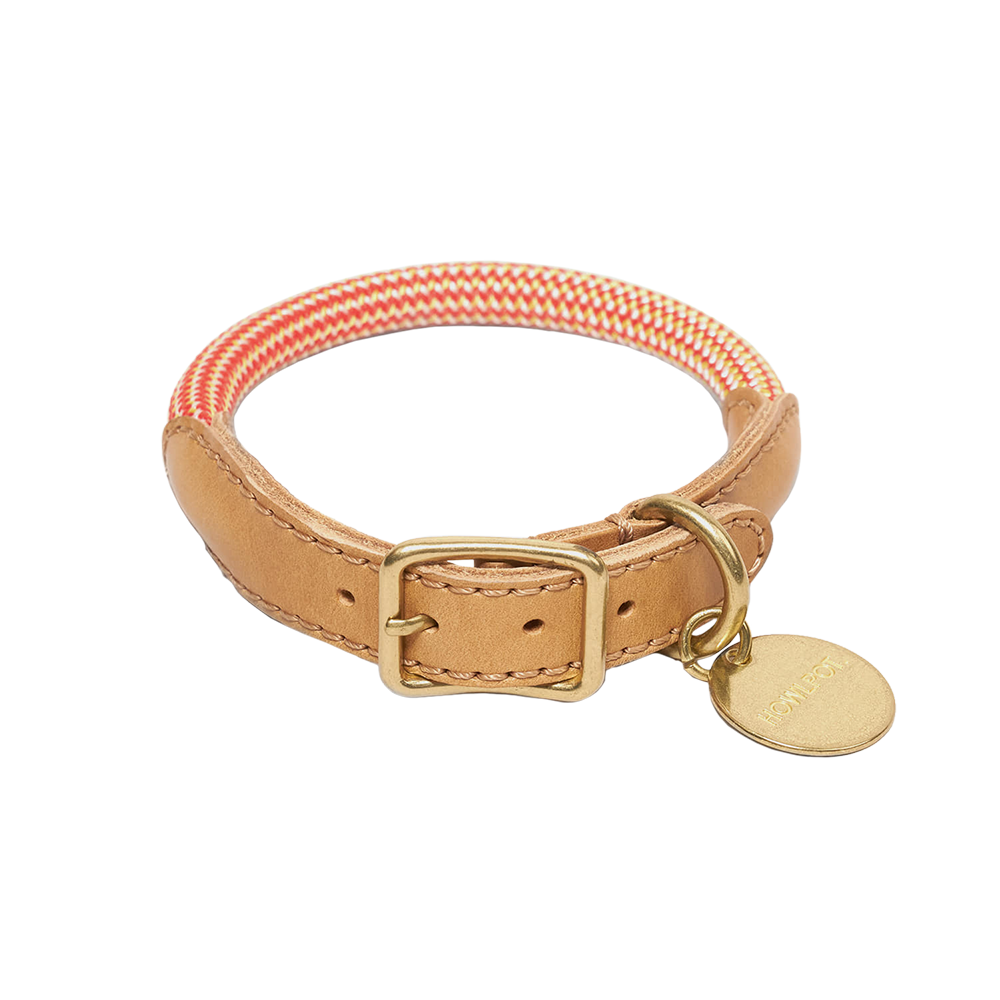 We Are Tight Collar (Rope)