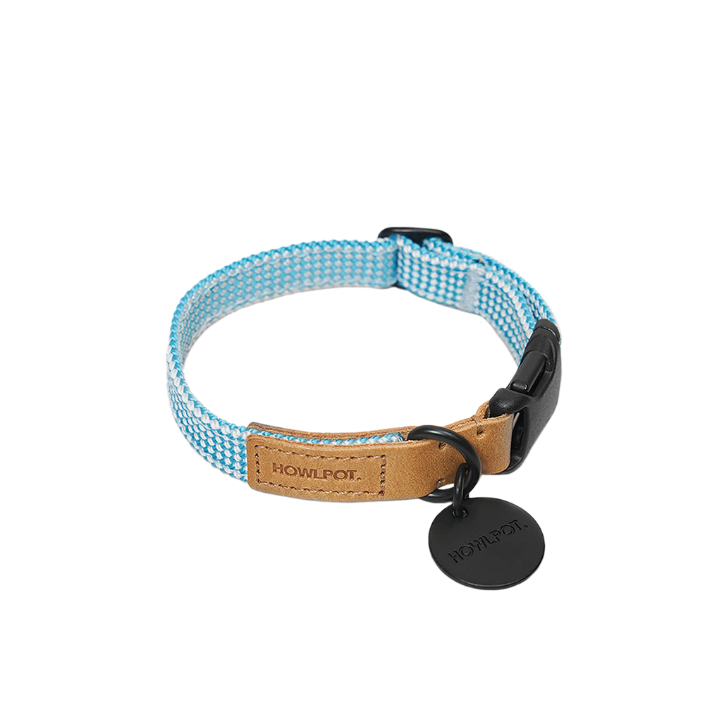 We Are Tight Collar (Ribbon)