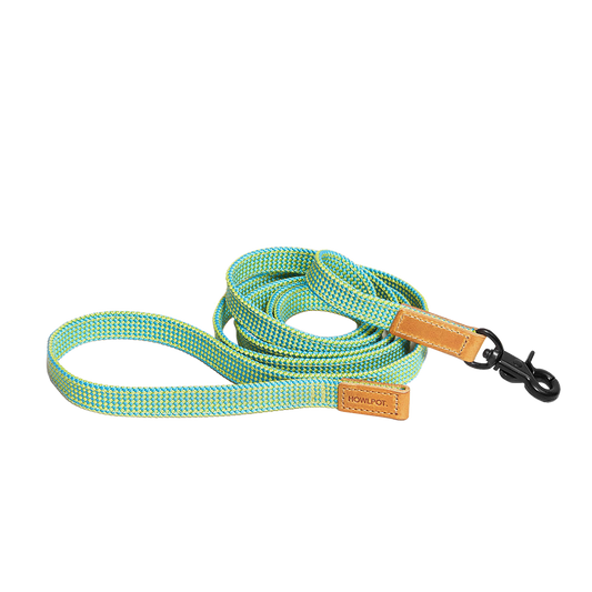 We Are Tight Leash (Ribbon)