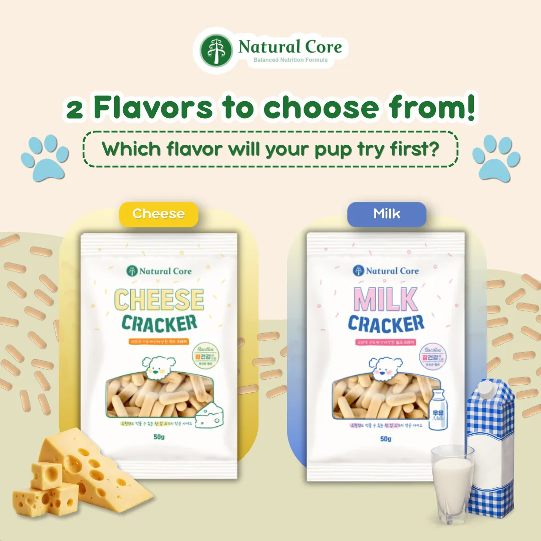 Natural Core Milk & Cheese Healthy Crackers Biscuit for Dog Made in Korea