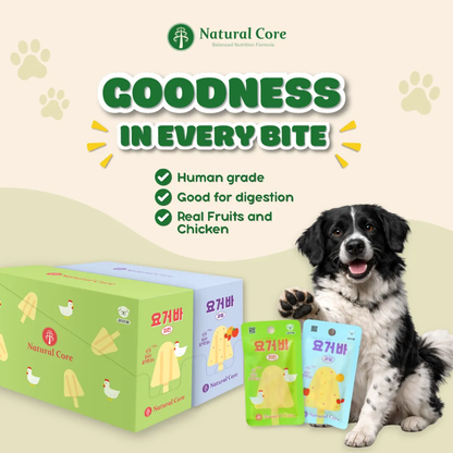(VALUE BOX) Natural Core 10 pcs Probiotics Yogurt Bar for All Ages Dogs - Chicken Fruit