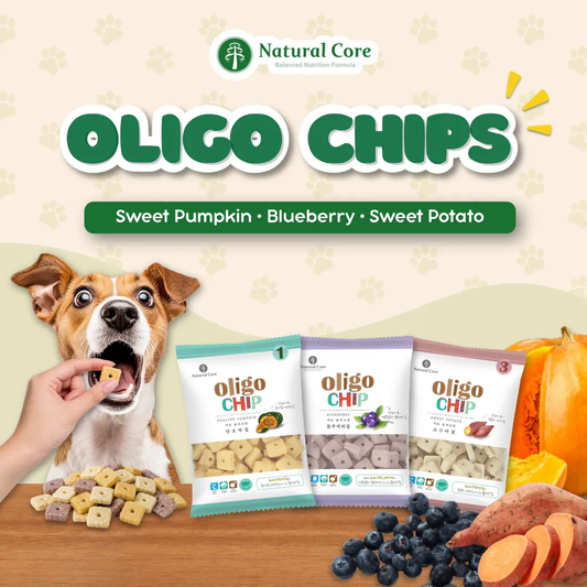 Natural Core Sweet Potato Oligochip Healthy Cookie Crispy Bite Size Probiotic Treat for Dogs