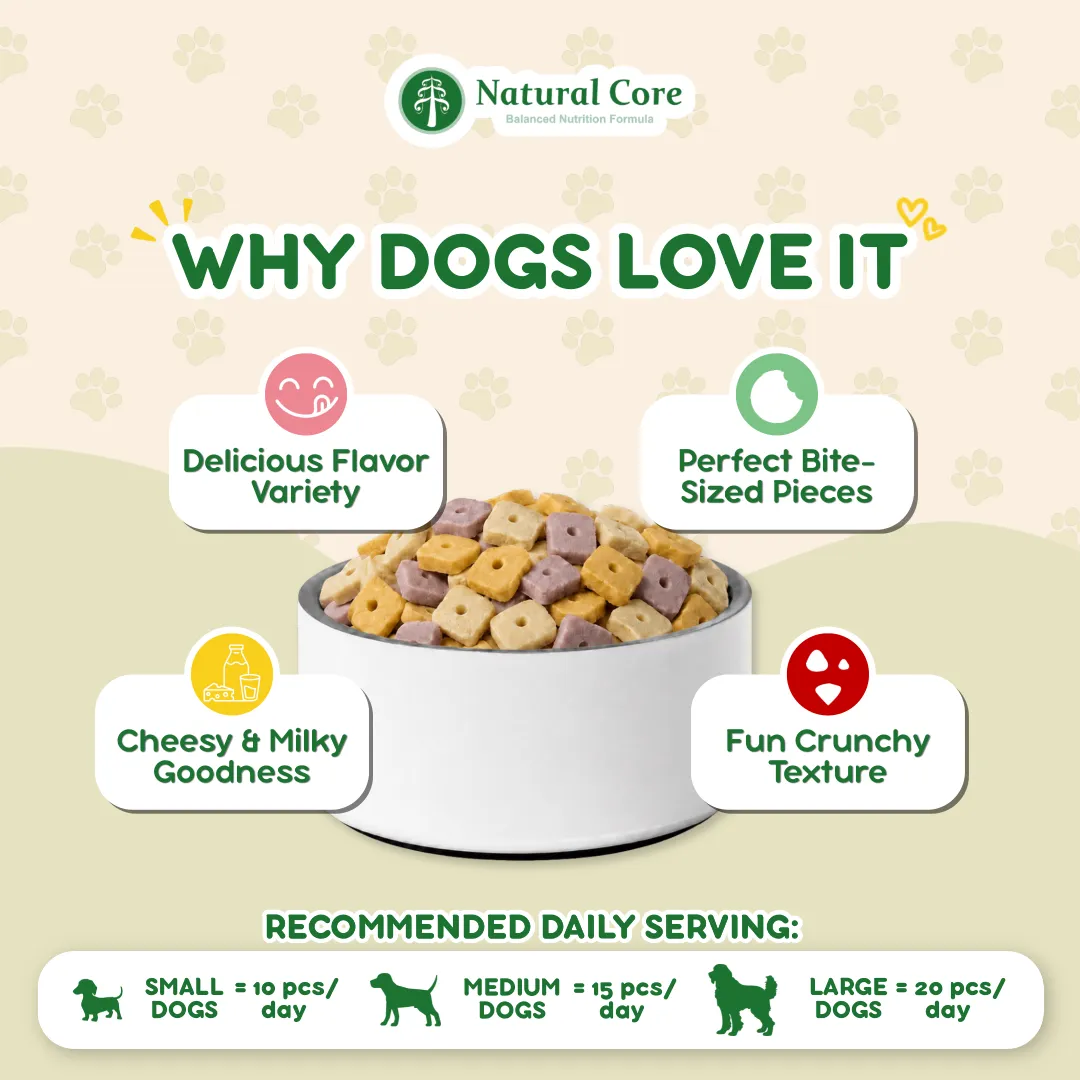 Natural Core Sweet Potato Oligochip Healthy Cookie Crispy Bite Size Probiotic Treat for Dogs