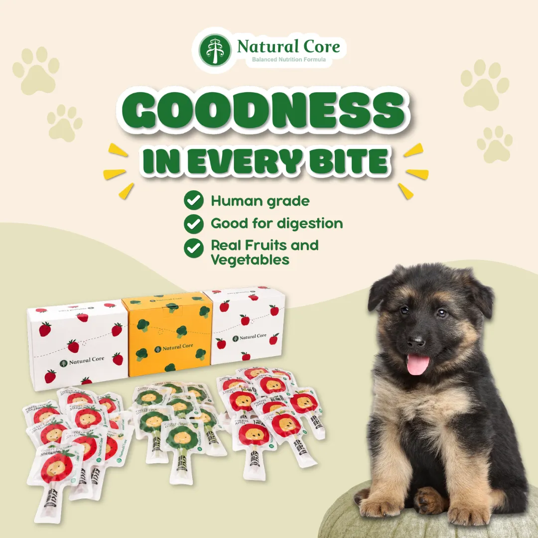 (PER PIECE) Natural Core Cheese Chups Healthy Lollipop Dog Treats Made in Korea