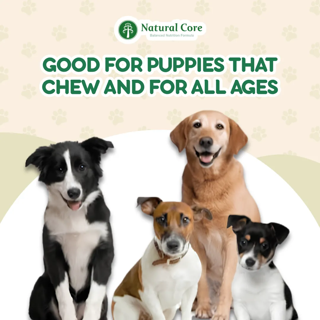 (VALUE BOX) Natural Core 10 pcsCheese Chups Healthy Lollipop Dog Treats Made in Korea