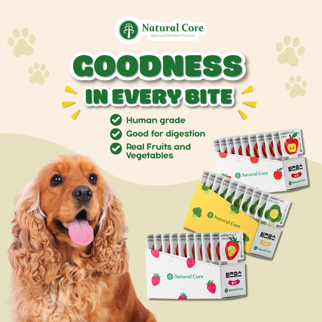 (VALUE BOX) Natural Core 10 pcsCheese Chups Healthy Lollipop Dog Treats Made in Korea