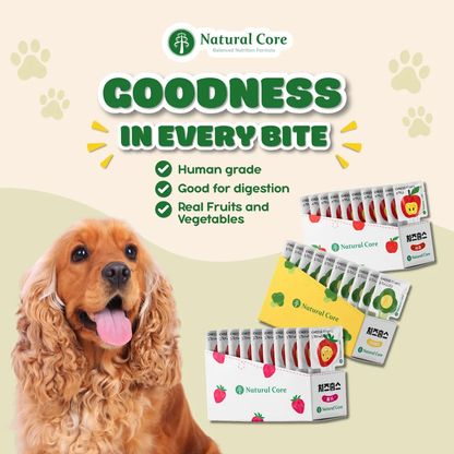 (VALUE BOX) Natural Core 10 pcsCheese Chups Healthy Lollipop Dog Treats Made in Korea
