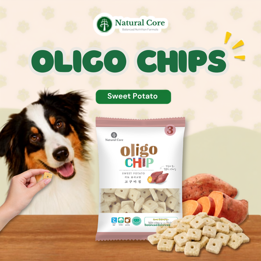 Natural Core Sweet Potato Oligochip Healthy Cookie Crispy Bite Size Probiotic Treat for Dogs