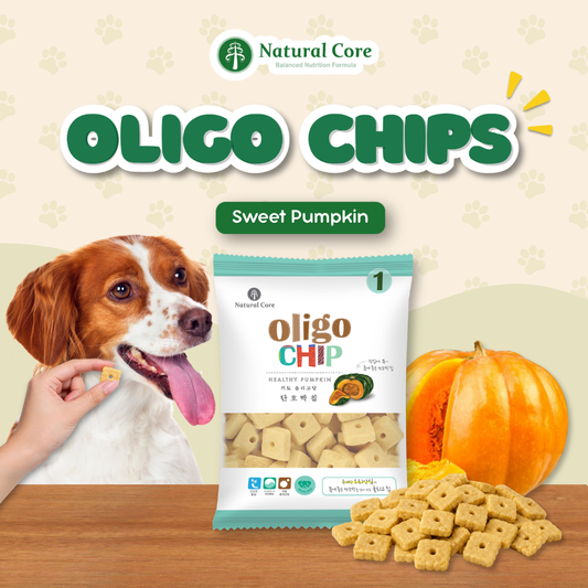 Natural Core Pumpkin Oligochip Healthy Cookie Crispy Bite Size Probiotic Treat for Dogs