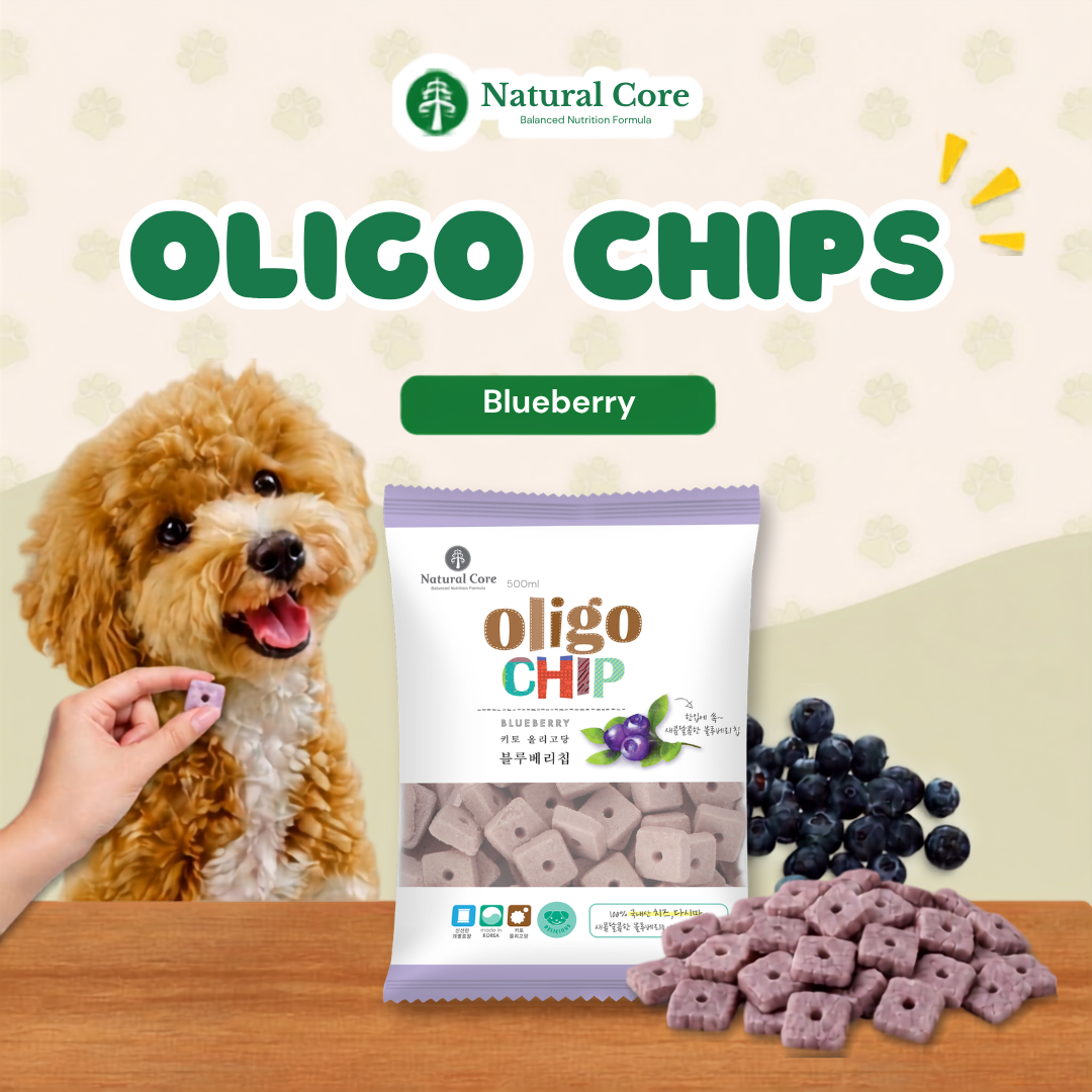 Natural Core Blueberry Oligochip Healthy Cookie Crispy Bite Size Probiotic Treat for Dogs