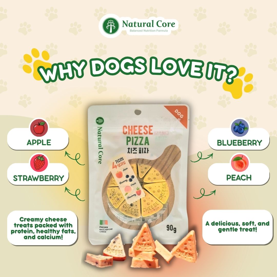 Natural Core Cheese Pizza Apple Blueberry Peach Strawberry Healthy Dog Treats Made in Korea 90g