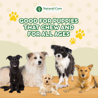 (TRIAL PACK 1PC) Natural Core Hypoallergenic Eco 1, Eco 4 Slim Down, Eco 9b Senior Salmon & Lamb for Sensitive Skin Weight Care Senior Dogs