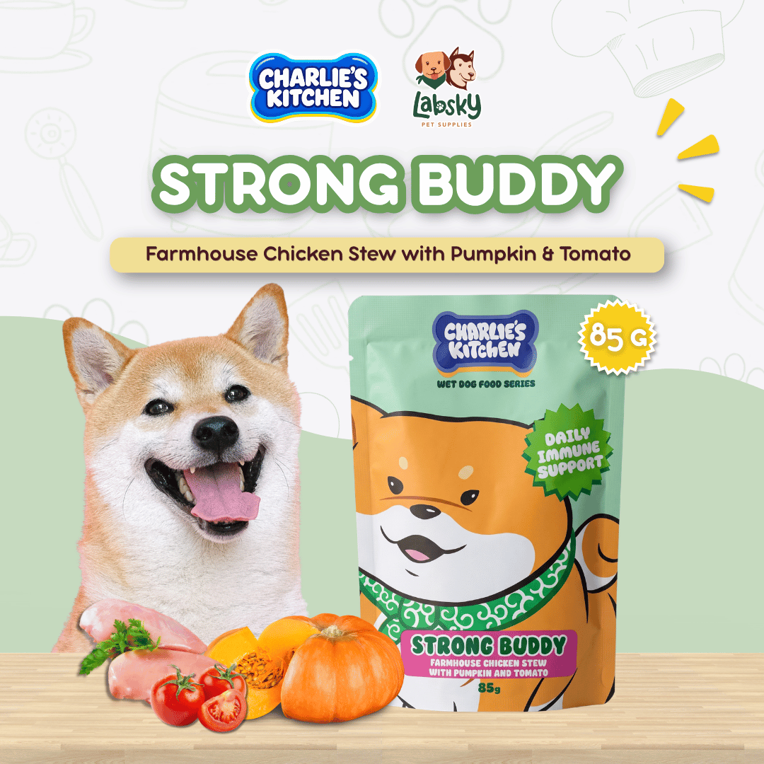 (PER PC) Charlie's Kitchen Strong Buddy Farmhouse Chicken Stew with Pumpkin and Tomato 85g