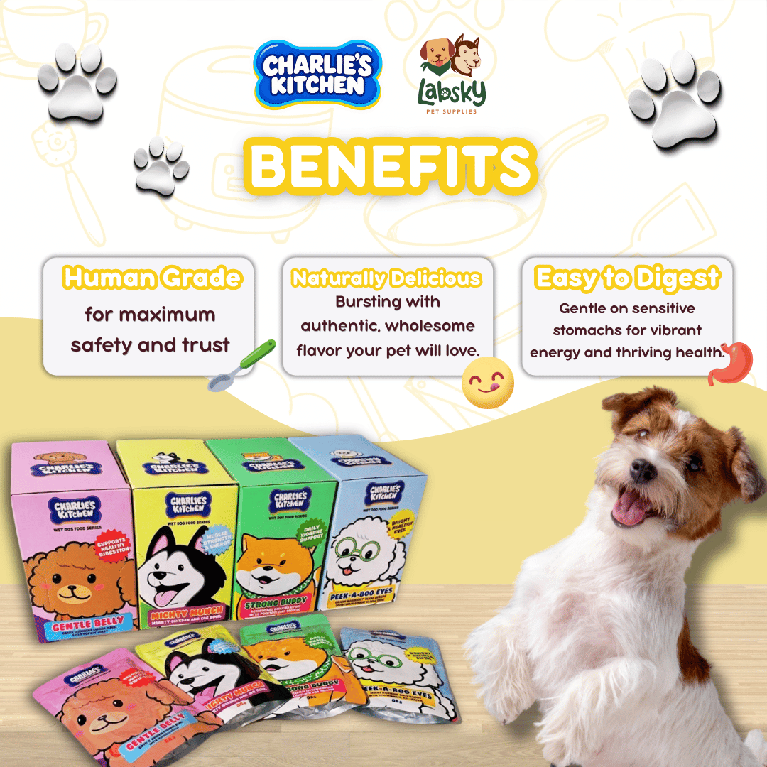 (VALUE BOX) 12pcs Charlie’s Kitchen Gentle Peek A Boo Mighty Munch Strong Buddy