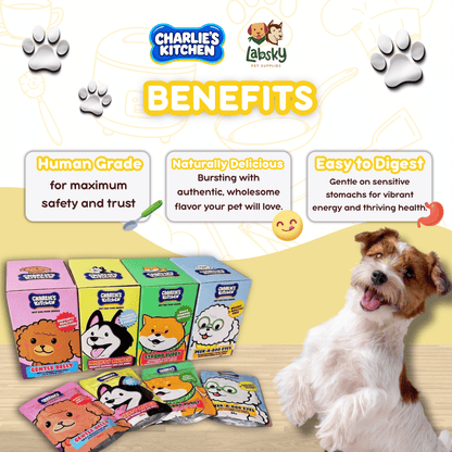 (VALUE BOX) 12pcs Charlie’s Kitchen Gentle Peek A Boo Mighty Munch Strong Buddy