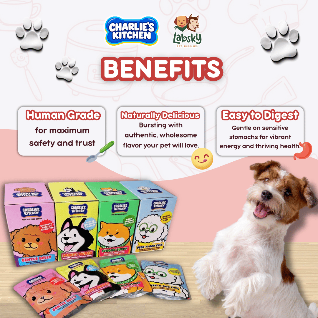(VALUE BOX) 12pcs Charlie’s Kitchen Gentle Peek A Boo Mighty Munch Strong Buddy