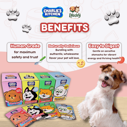 (VALUE BOX) 12pcs Charlie’s Kitchen Gentle Peek A Boo Mighty Munch Strong Buddy