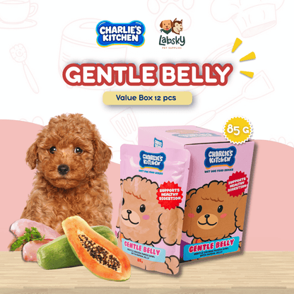 (VALUE BOX) 12pcs Charlie’s Kitchen Gentle Peek A Boo Mighty Munch Strong Buddy