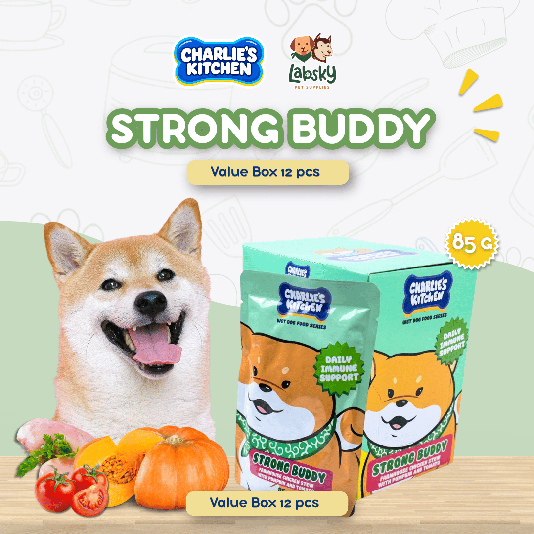 (VALUE BOX) 12pcs Charlie’s Kitchen Gentle Peek A Boo Mighty Munch Strong Buddy