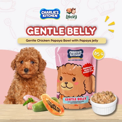 (PER PIECE) Charlie's Kitchen Dog Food 85g