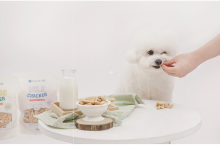 Natural Core Milk / Cheese Healthy Crackers Biscuit for Dog Made in Korea