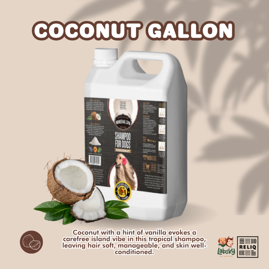 Reliq Mineral Spa Shampoo Gallon