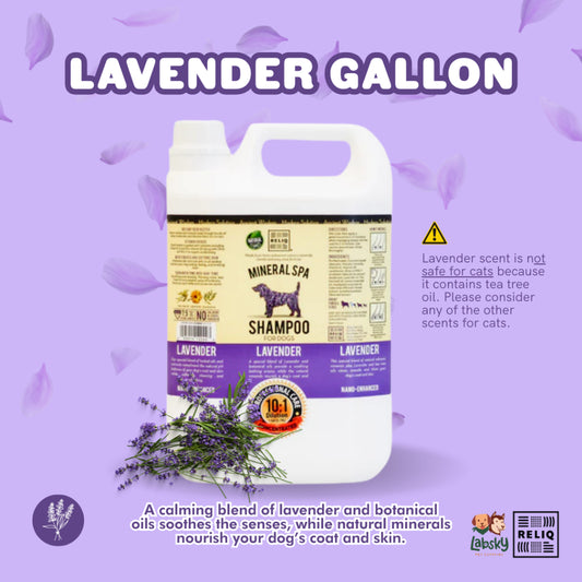 Reliq Mineral Spa Shampoo Gallon