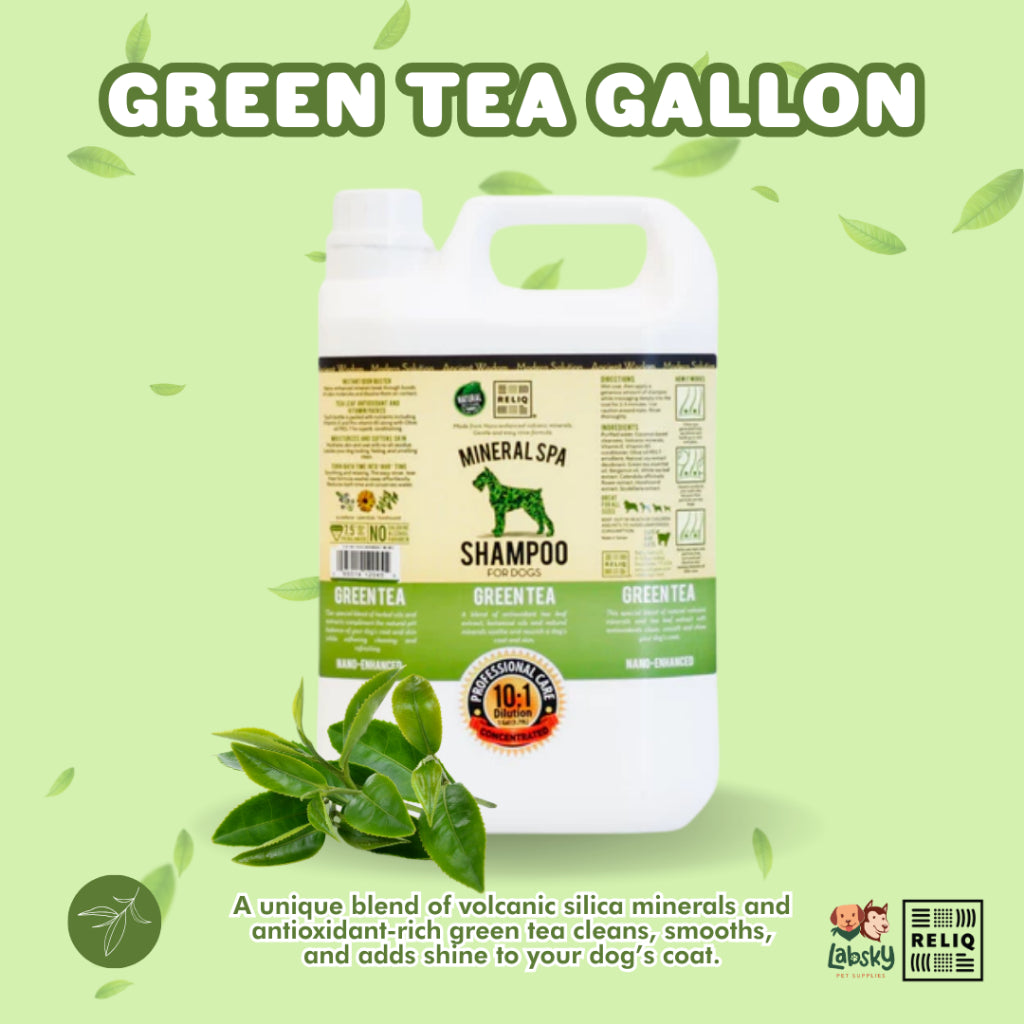 Reliq Mineral Spa Shampoo Gallon