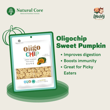 Natural Core Pumpkin Oligochip Healthy Cookie Crispy Bite Size Probiotic Treat for Dogs