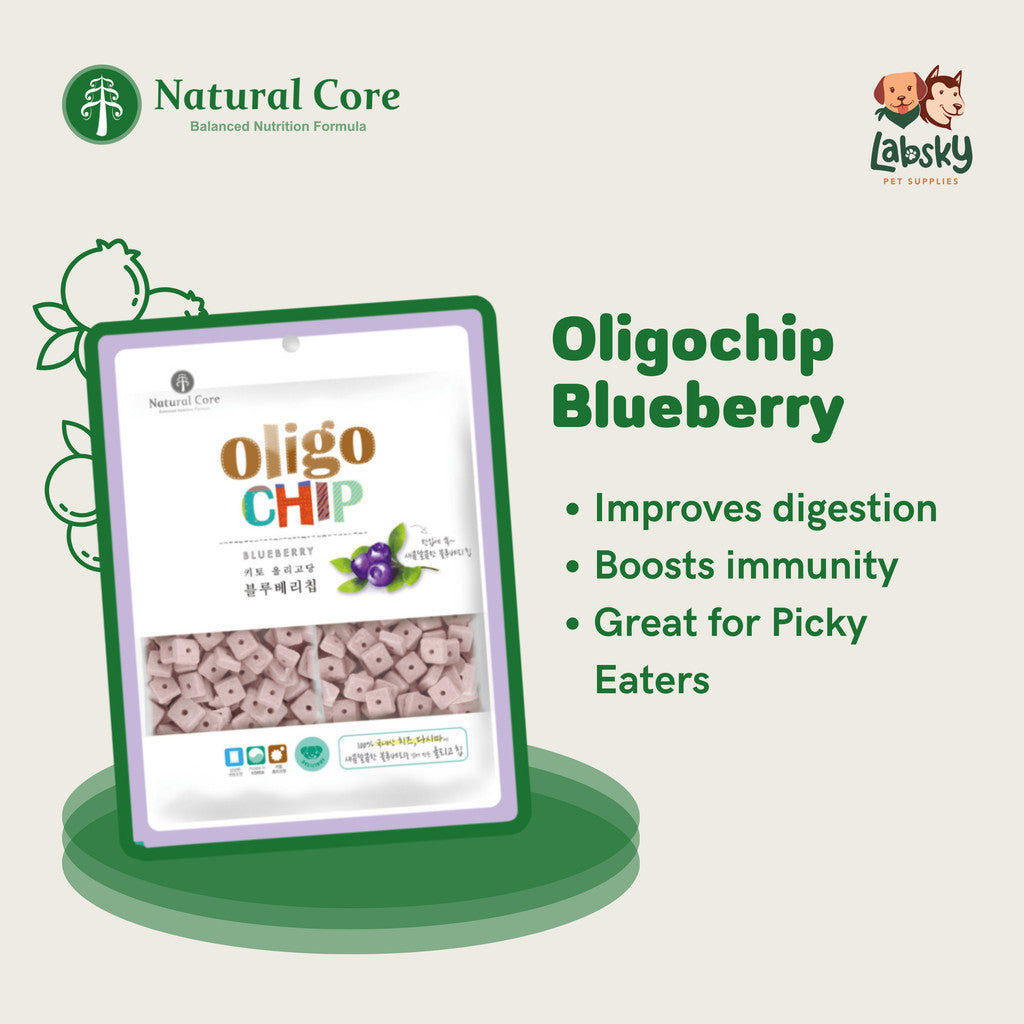 Natural Core Blueberry Oligochip Healthy Cookie Crispy Bite Size Probiotic Treat for Dogs