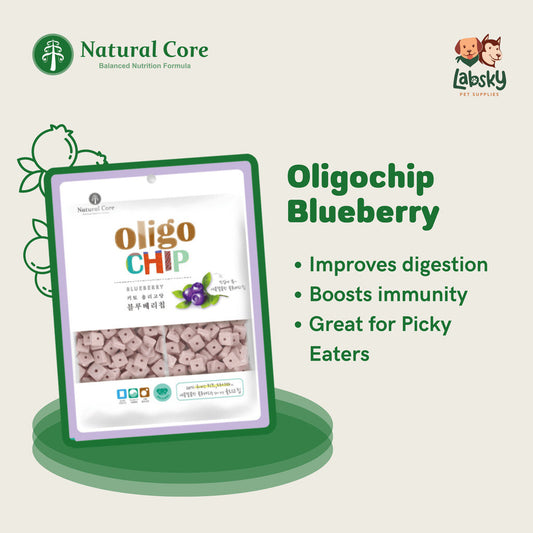 Natural Core Blueberry Oligochip Healthy Cookie Crispy Bite Size Probiotic Treat for Dogs