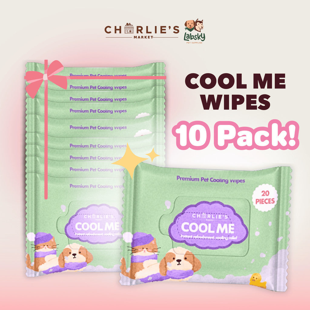 (SAVER BUNDLE) Charlie's Market Cool Me Biodegradable Cooling Wipes for Dogs Cooling Menthol