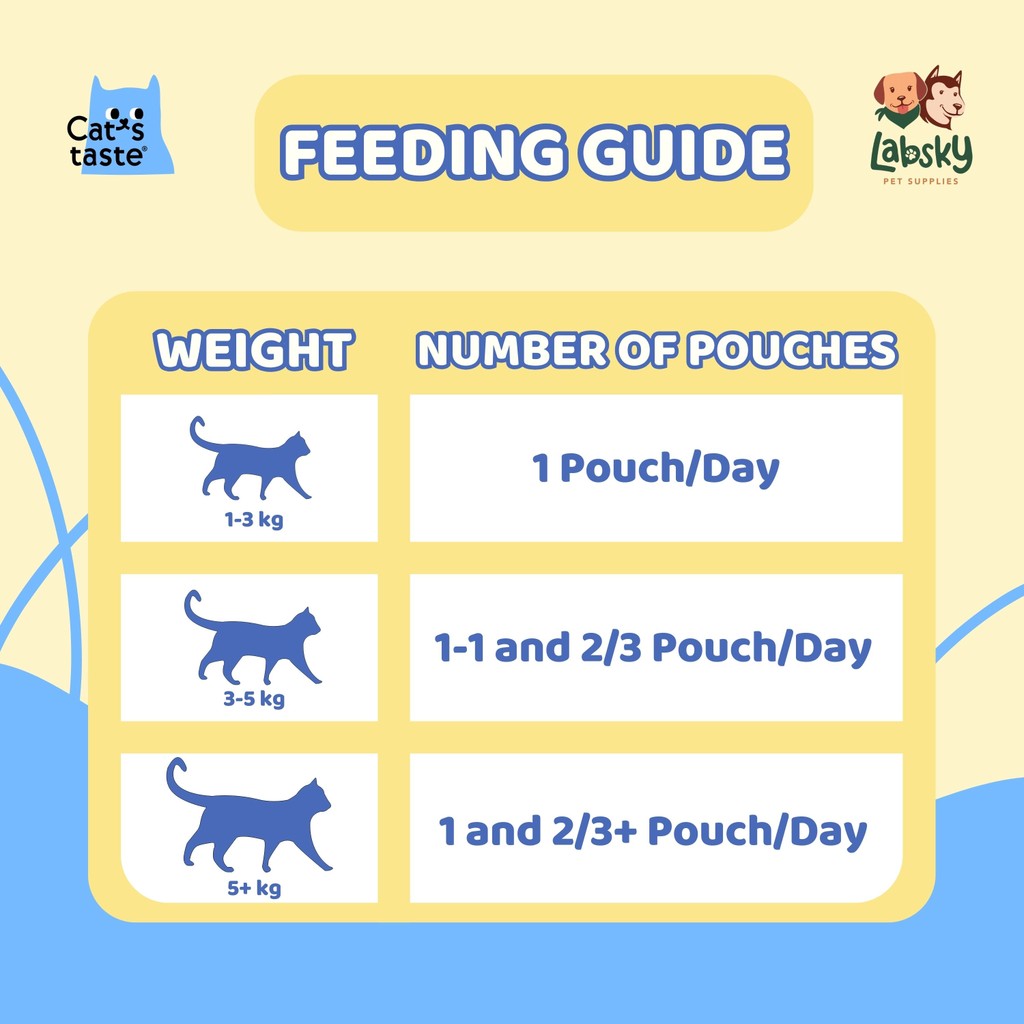 (VALUE BOX) Cat's Taste 12pcs Premium Wet Cat Food for Senior 7+ Soft Jelly Salmon Fiber Collagen