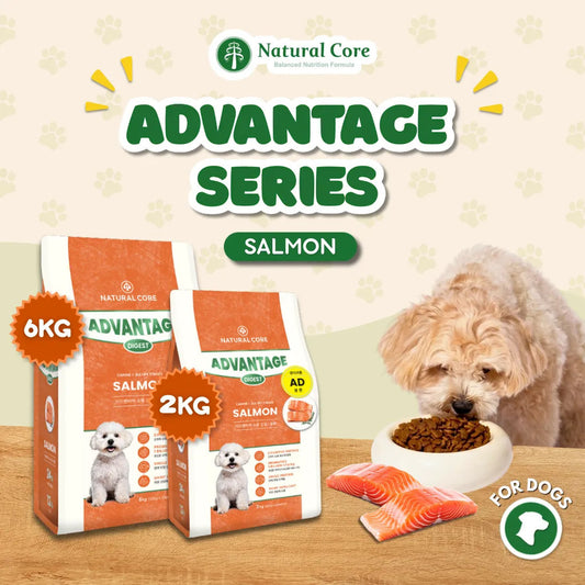 Natural Core Advantage Digest Salmon Dog Food Denmark Probiotics Made in Korea 2kg 6kg
