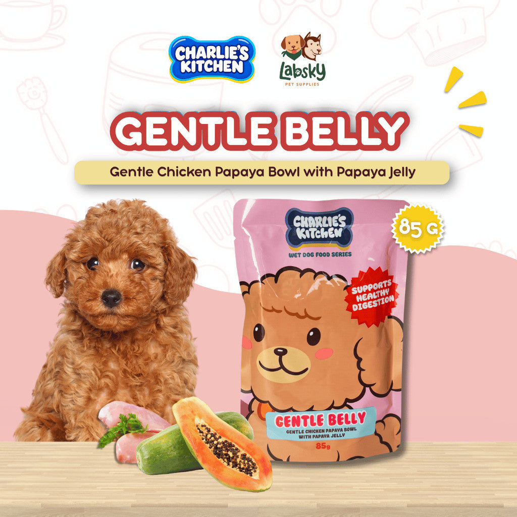 (PER PC) Charlie’s Kitchen Gentle Peek A Boo Mighty Munch Strong Buddy