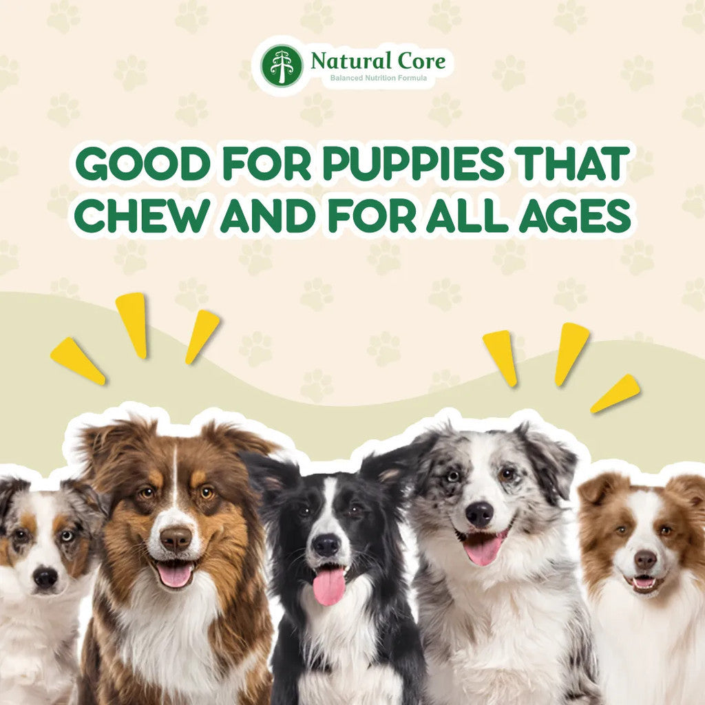 (BUNDLE OF 5) Natural Core Meat Sticks Chicken and Shrimp for Dogs and Cats