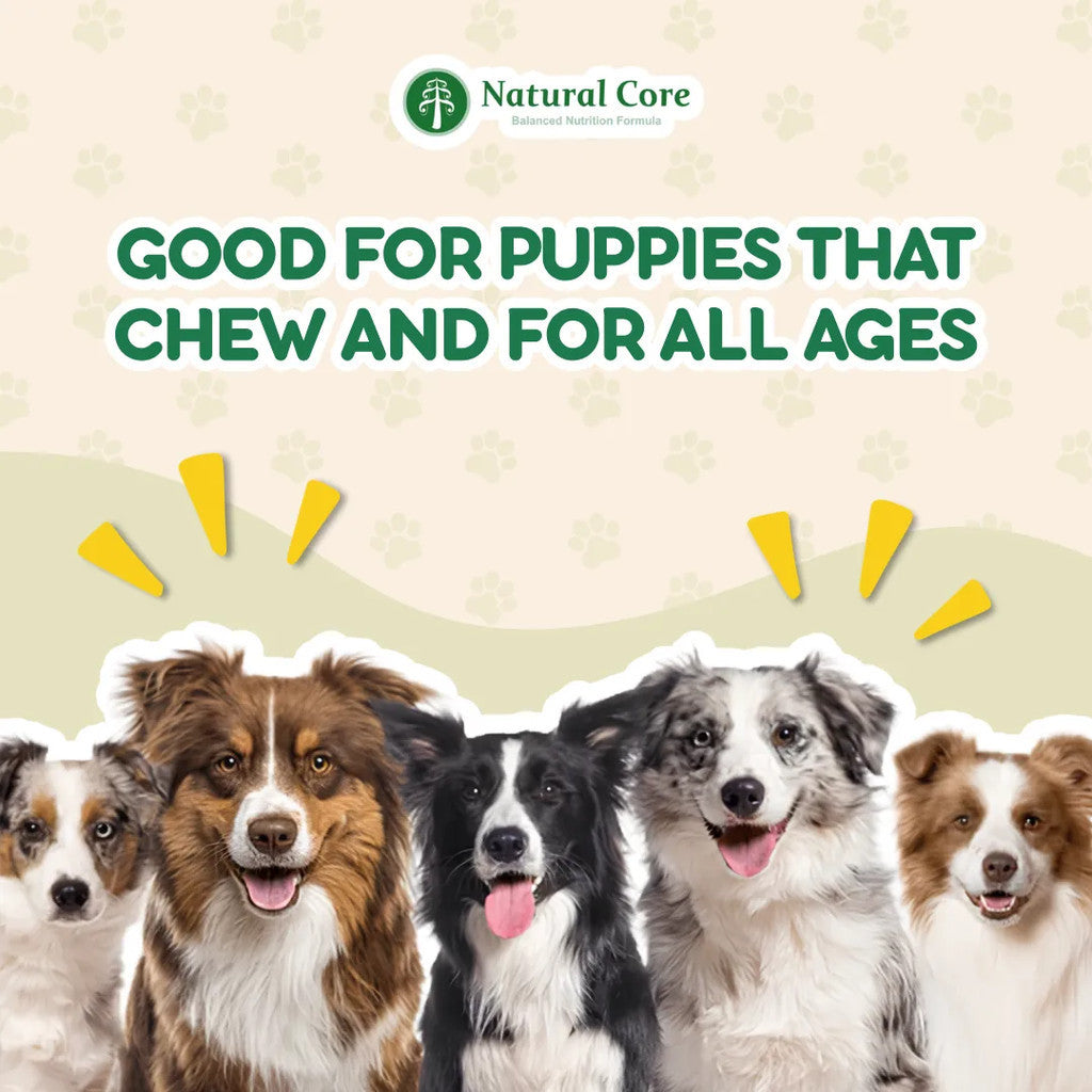 (BUNDLE OF 5) Natural Core Meat Sticks Chicken Shrimp Codfish for Dogs and Cats