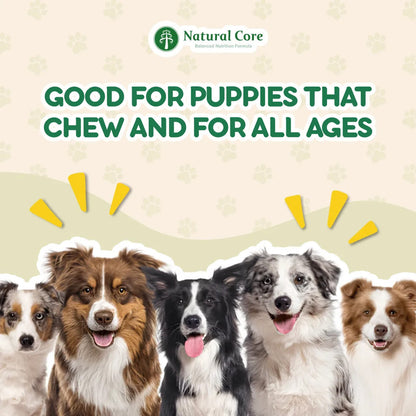 (BUNDLE OF 5) Natural Core Meat Sticks Chicken Shrimp Codfish for Dogs and Cats