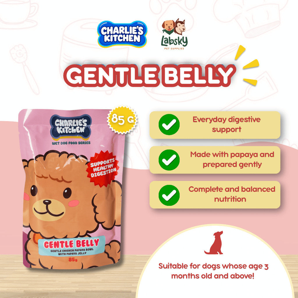 (PER PC) Charlie's Kitchen - Gentle Belly Gentle Chicken Papaya Bowl with Papaya Jelly 85g