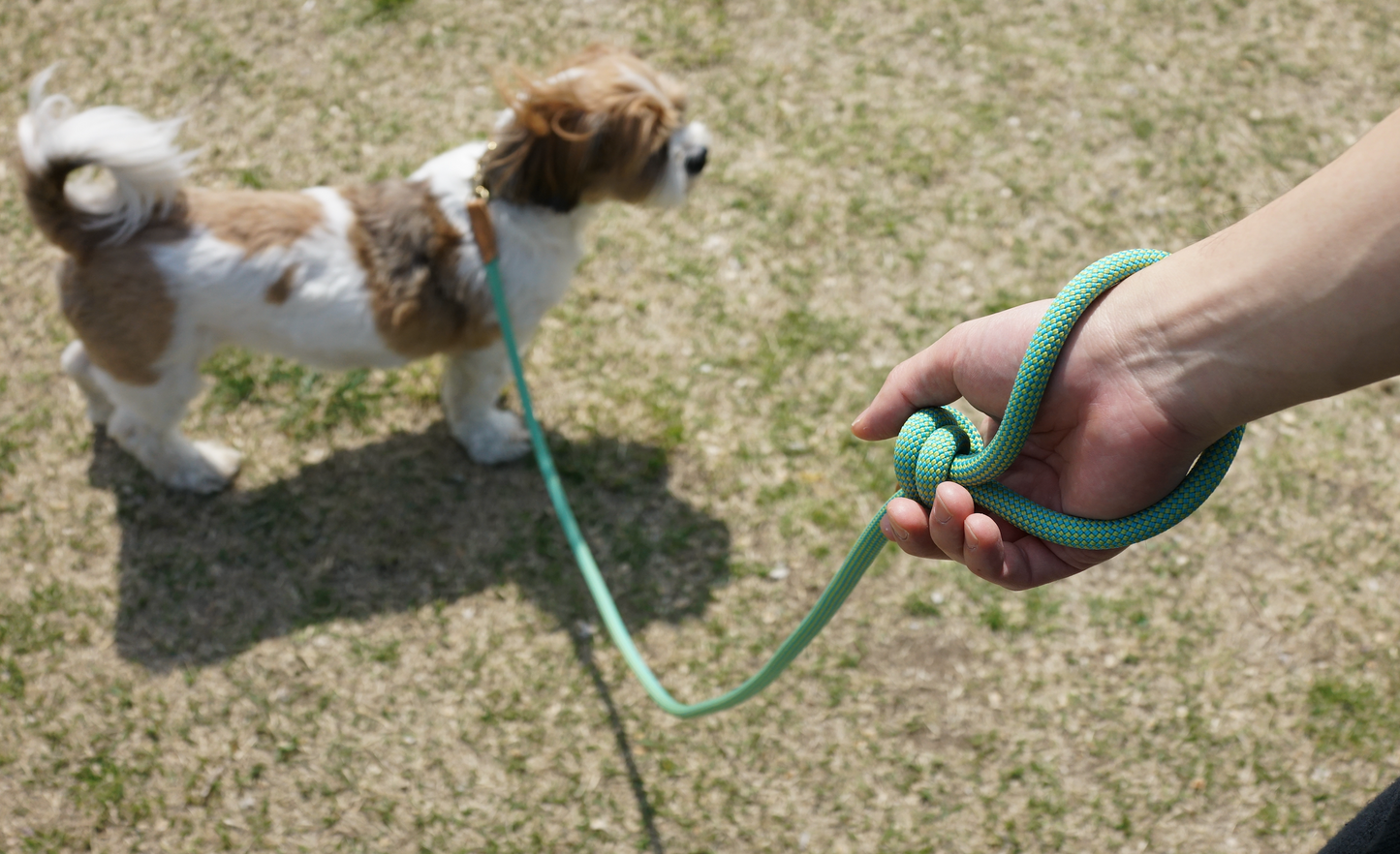 We Are Tight Leash (Rope)