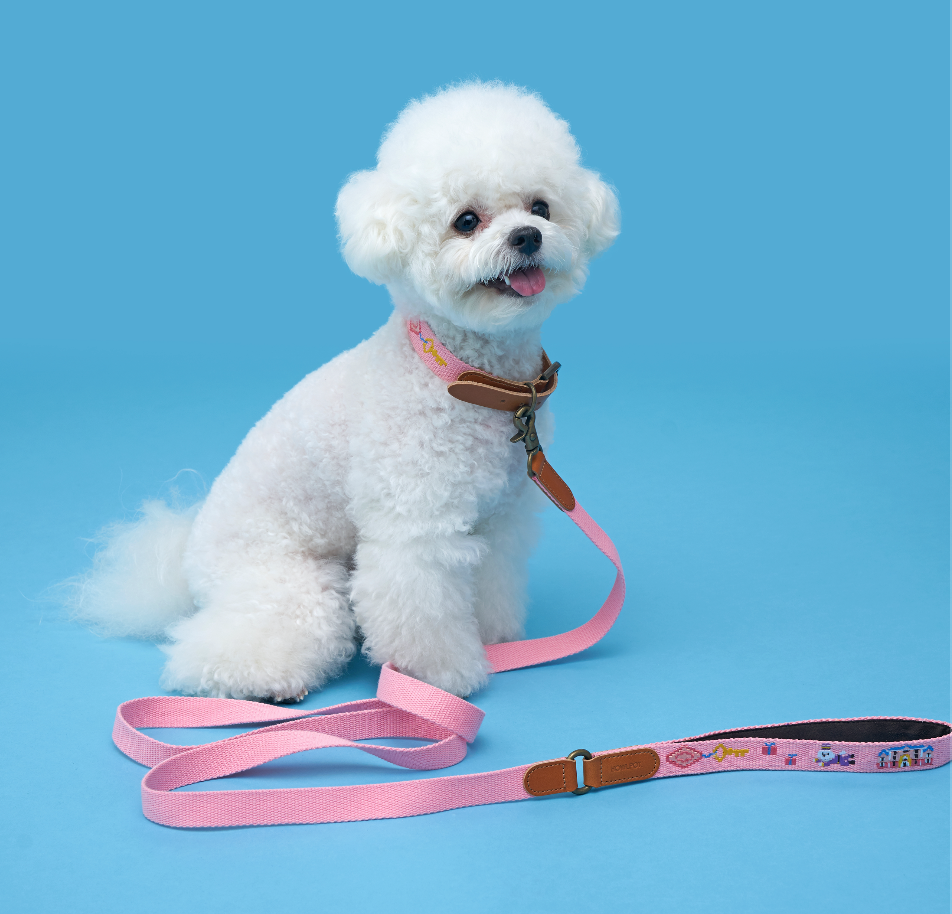 Adventure Series Leash